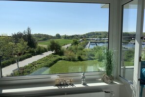 Blick aus einem Fenster auf einen klaren Weg, Grünflächen und ein Gewässer.