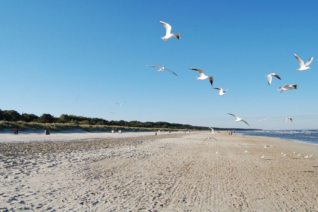 Een strand met zand en een heldere lucht.