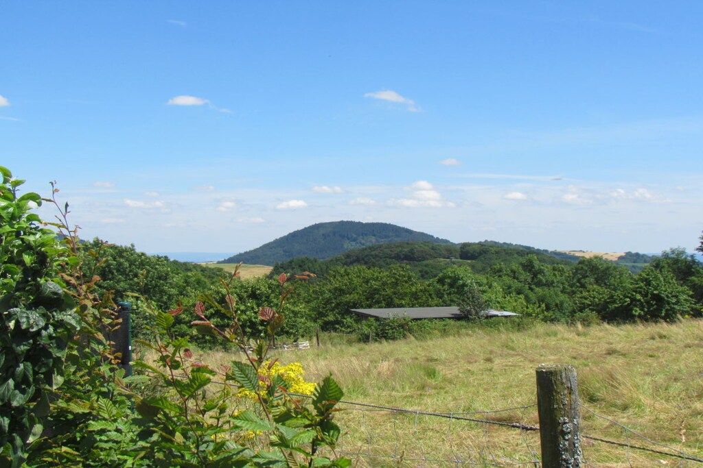 A rural landscape with a mountain in the background, a fence, and some vegetation in the foreground.