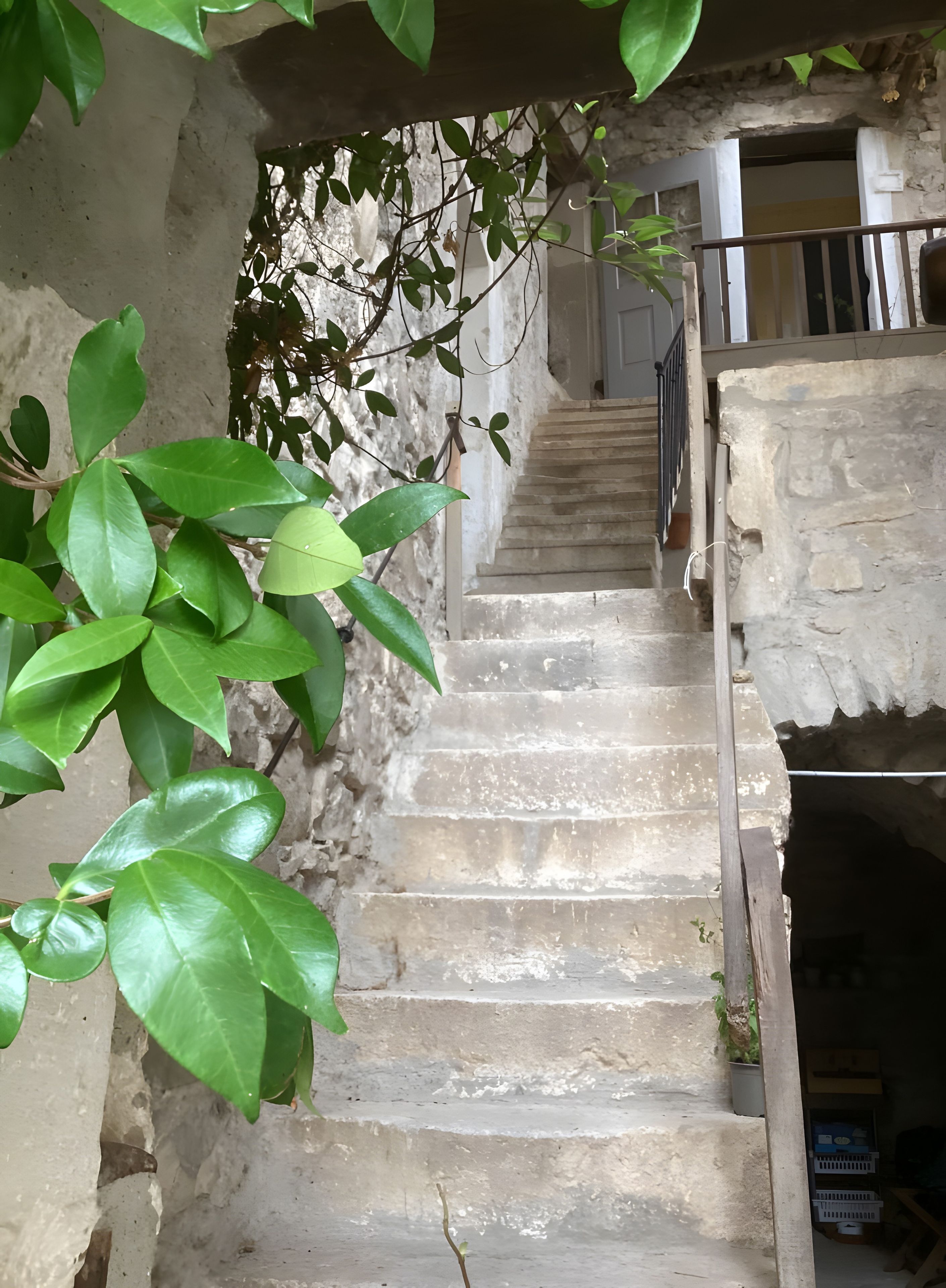 Un escalier en pierre menant à un niveau supérieur, entouré de verdure et bordé d’un mur de pierre rustique.
