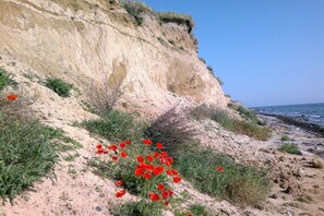 A coastal landscape with a sandy beach, a cliff, and red flowers. - Holiday home with 1 bedroom (Stadt Fehmarn OT Burg)