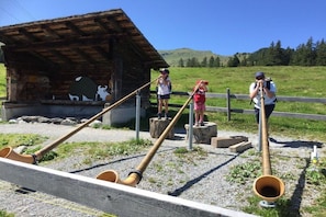 Eine rustikale Holzjagdhaus mit einer Metallbedachung, umgeben von einem Kiesplatz mit Holzbalken und einem Holzzaun.