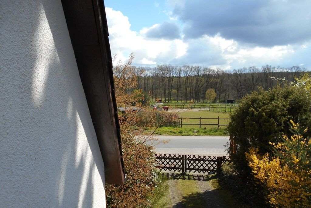 Uitzicht vanuit een raam op een erf met een hek, een weg, bomen en een heldere lucht.