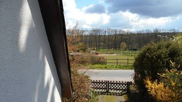Uitzicht vanuit een raam op een erf met een hek, een weg, bomen en een heldere lucht.