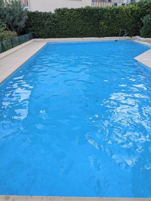 Ein rechteckiger Pool mit klarem, blauem Wasser, umgeben von einer niedrigen Steinmauer und einem Heckenstreifen.