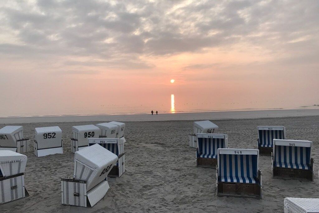 Beach chairs and sun loungers with numbers on them, arranged on the sand.