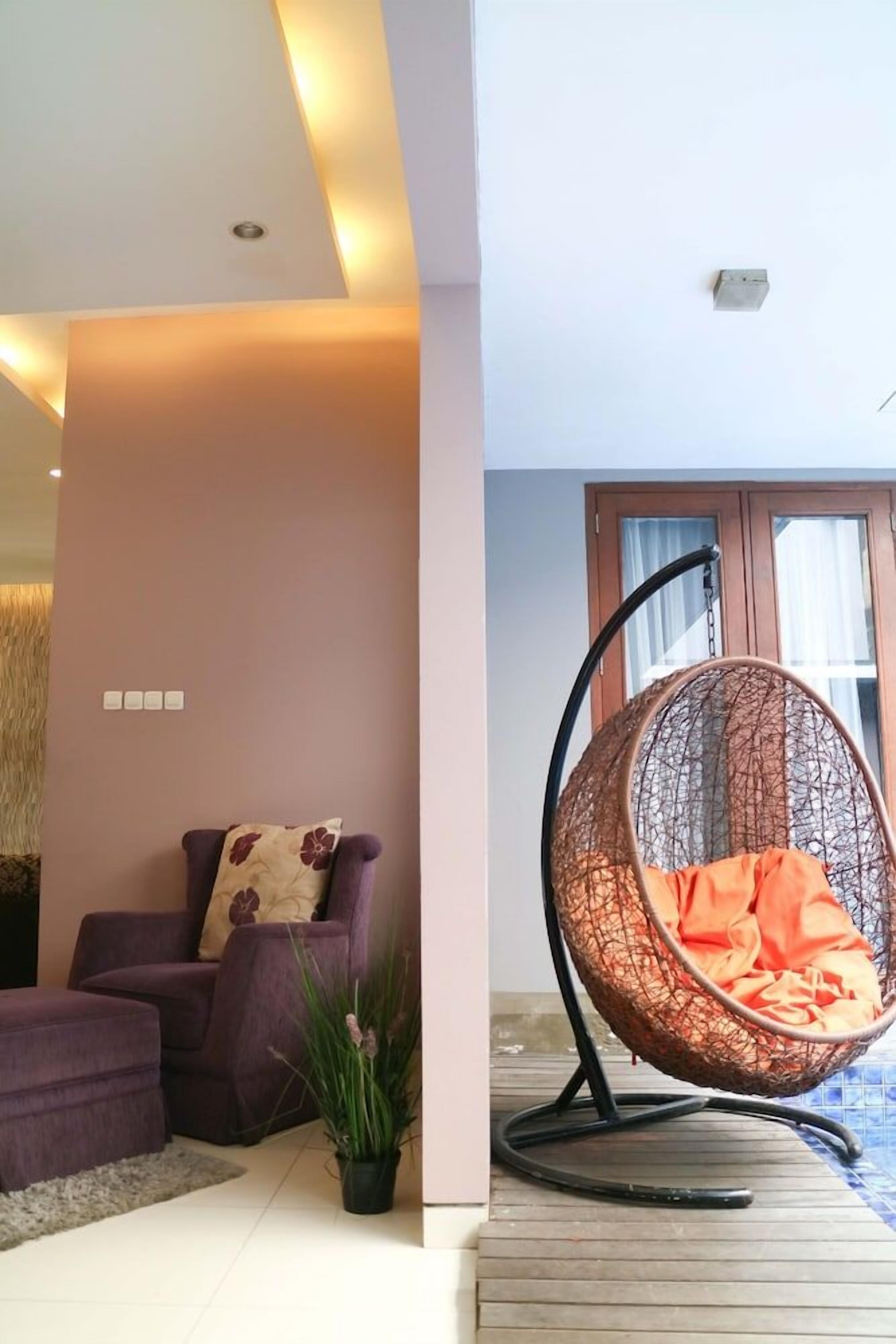 A modern living room with a purple sofa, a hanging chair, and a potted plant.
