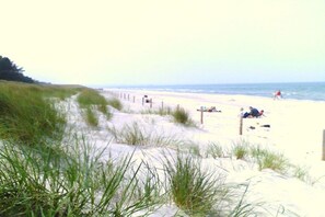 A beach with sand dunes, a fence, and people in the distance. - 1 - Holiday home Schmidt (Ostseebad Prerow)