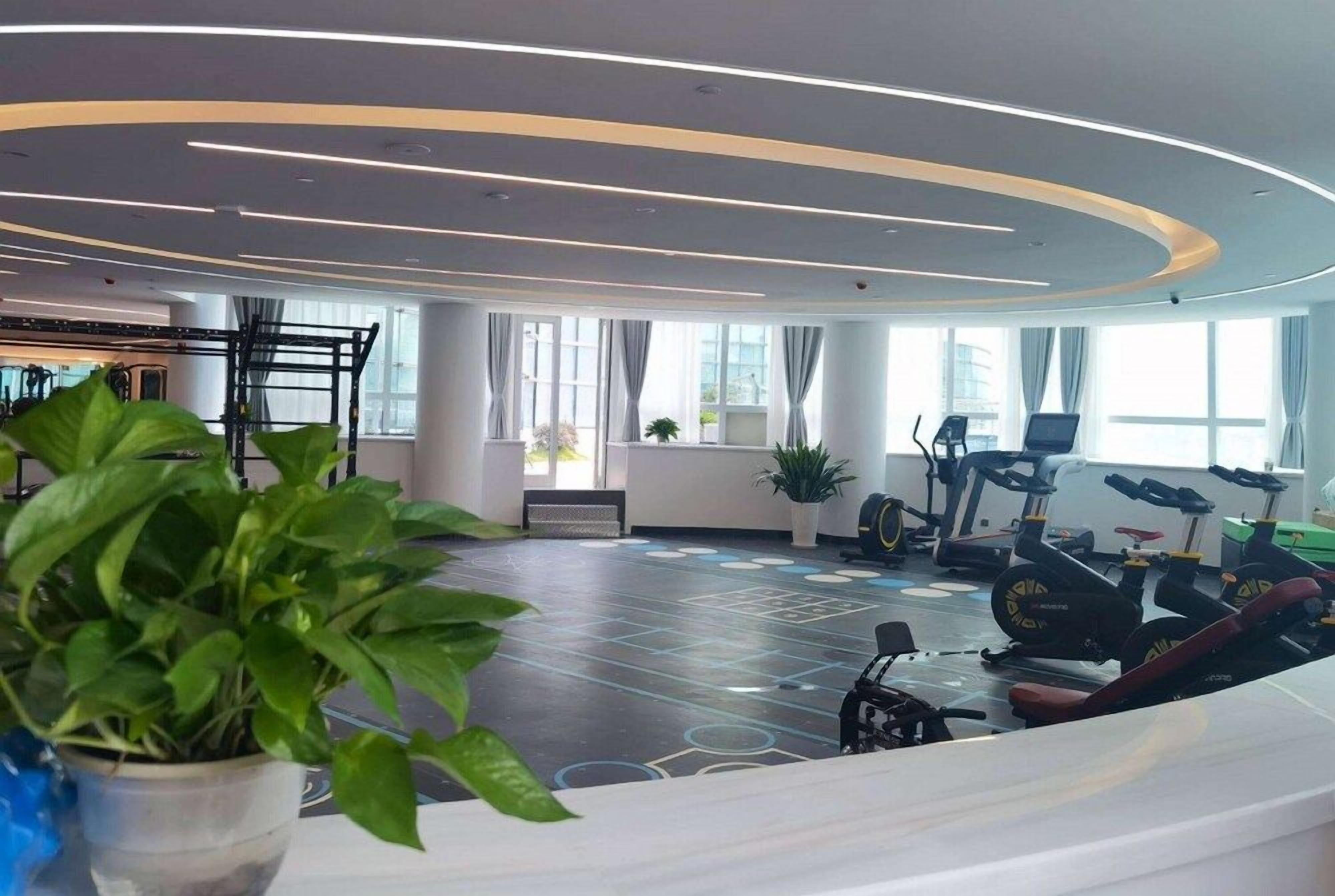 A modern gym with exercise equipment, large windows, and a potted plant.