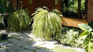 Una casa con techo de paja, fachada de madera y un jardín con helechos grandes y flores blancas.