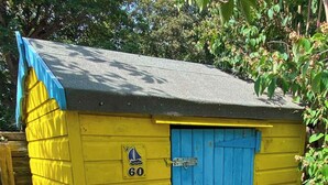 Un cobertizo pequeño de un piso con puerta azul y revestimiento amarillo, marcado con el número 60.