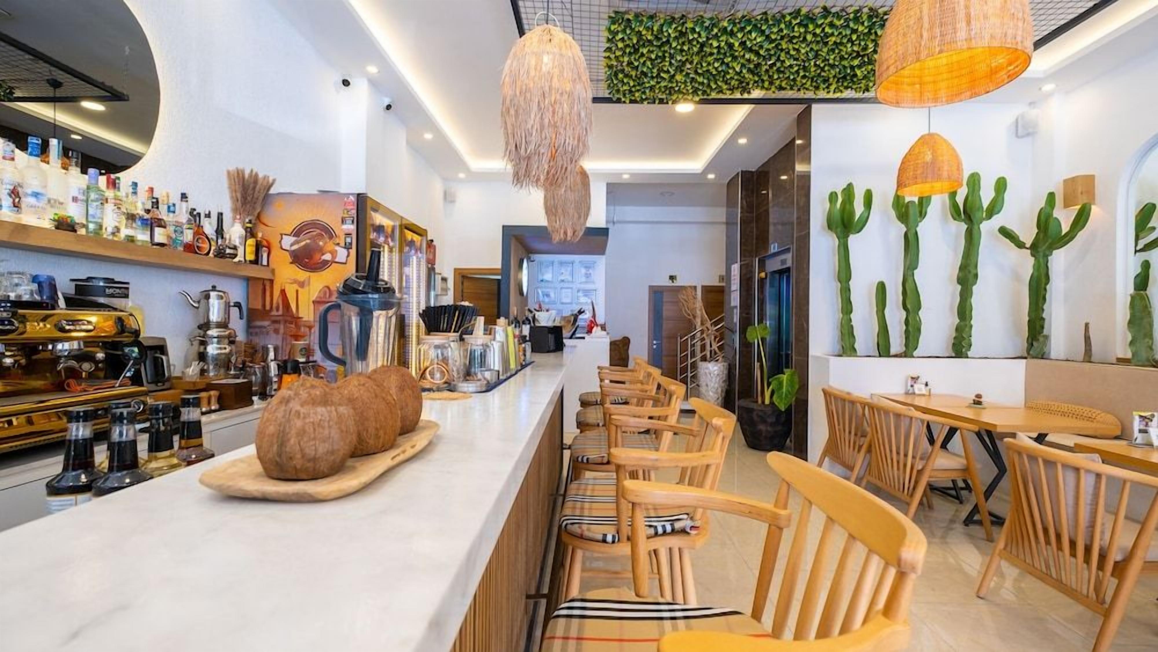 A bar area with wooden chairs, a counter with various bottles, and a green wall with cactus decorations.