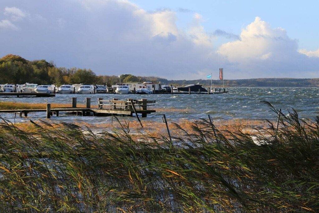 A marina with boats docked, a wooden pier, and a grassy area with reeds in the foreground.