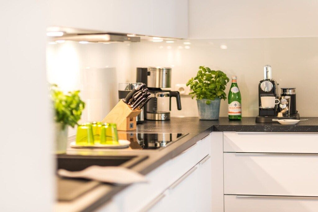 Een moderne keuken met een RVS fornuis, een koffiezetapparaat en een potplant.