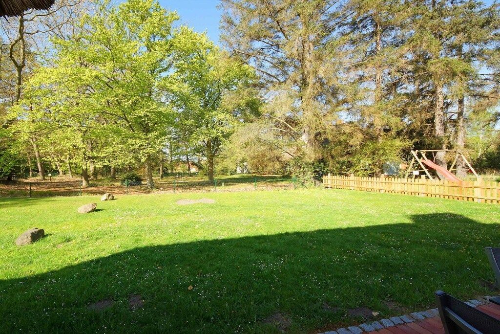 A grassy outdoor area with trees and a wooden fence.