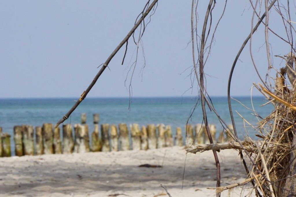 Une plage avec une clôture en bois et une végétation sèche au premier plan.