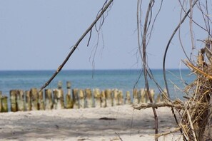 Ein Strand mit einer Holzzaun und trockener Vegetation im Vordergrund.