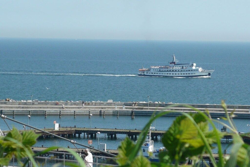 Un gran crucero amarrado en un muelle, con vista despejada al océano y una masa terrestre a lo lejos.