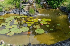 A pond with lily pads and a small waterfall. - Holiday home with 1 bedroom (8344 Bad Gleichenberg)