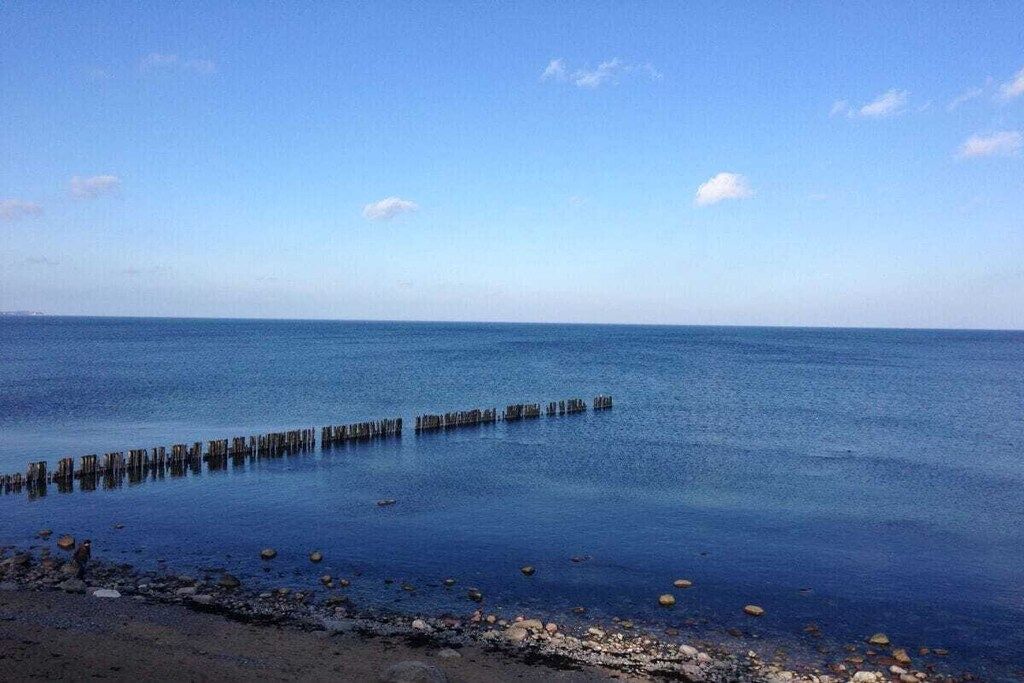 A calm body of water with a wooden pier extending into it.