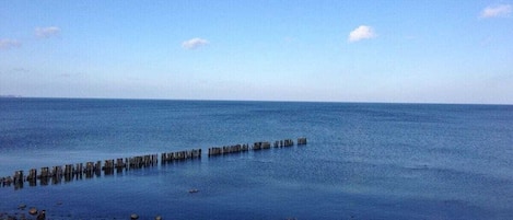 A calm body of water with a wooden pier extending into it.