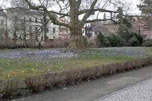 Ein Park mit einem großen Baum und einer Blumenwiese.