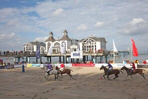 A beach polo event with horses and riders, a pier with buildings, and spectators. - Holiday apartment with 2 bedrooms (Sellin)