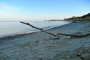 A beach with a fallen tree in the sand, calm water, and a distant shoreline. - Holiday home Cormorant (Glowe)