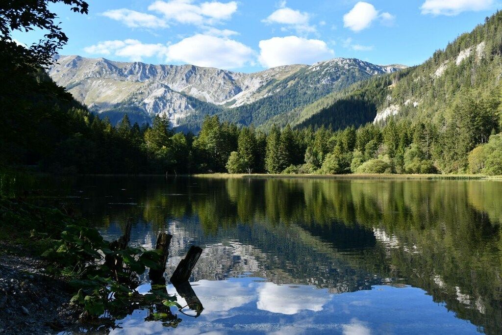 Un lac paisible, entouré de montagnes et d’une forêt dense.
