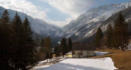 Schuster's Alpine Panorama