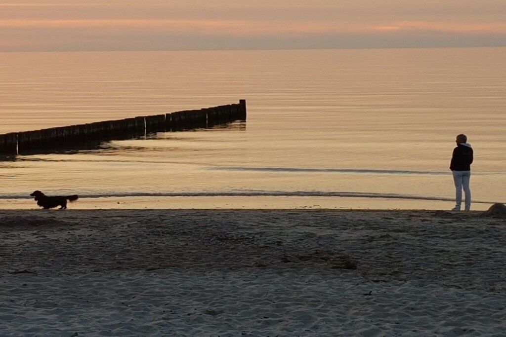 A beach with a person and a dog, a wooden pier, and calm water.