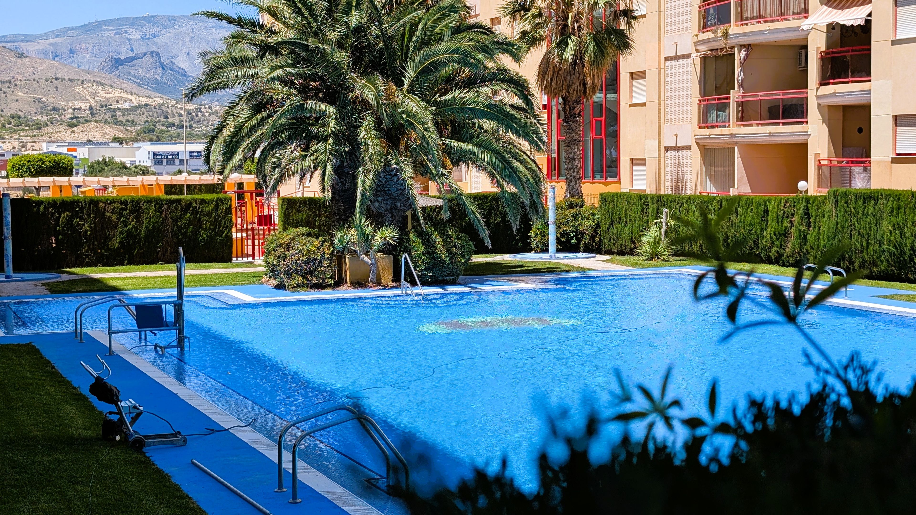 Una piscina con una palmera, una barandilla roja y un edificio con balcones al fondo.
