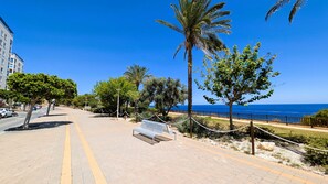 A paved walkway with a bench, palm trees, and a view of the sea.
