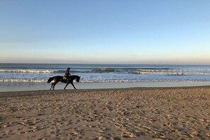 A beach with footprints leading to the water, a horse and rider, and the ocean in the background. - Holiday home in de Haan with swimming pool (de Haan)