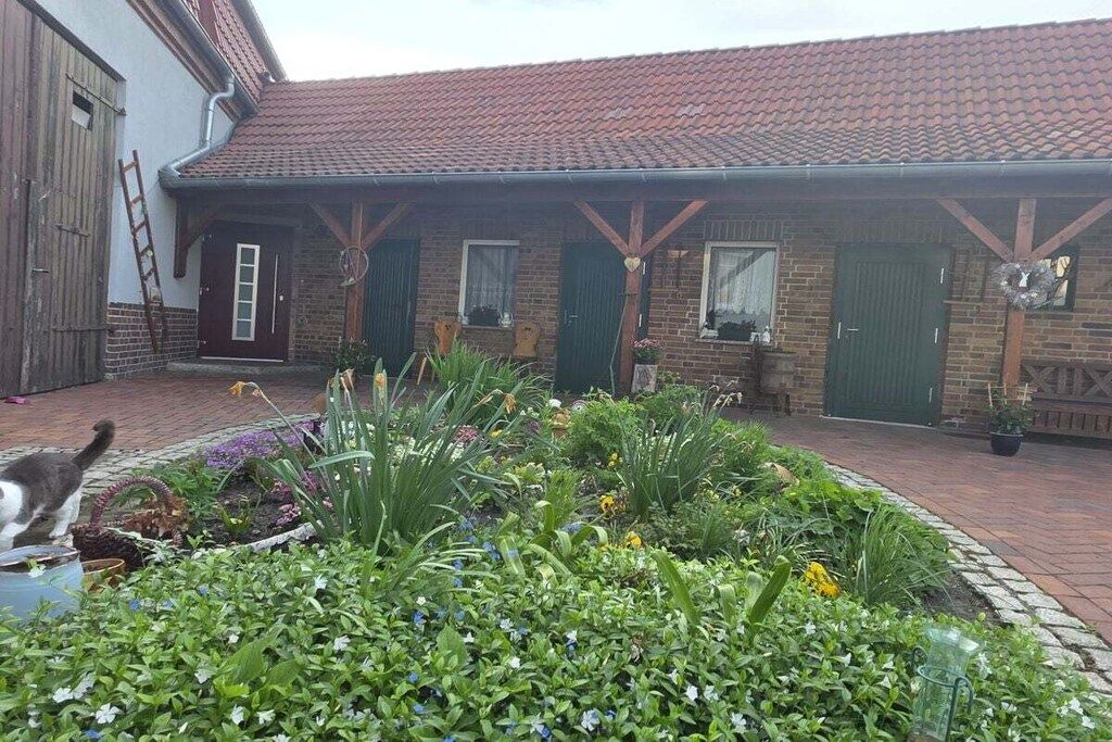 Un bâtiment en briques surmonté d’un toit en tuiles, un jardin avec différentes plantes et un chat au premier plan.