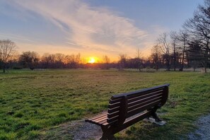 Eine Bank in einer Wiese mit Sonnenuntergang im Hintergrund.