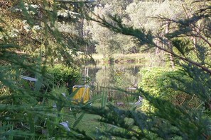 A natural landscape with a pond, surrounded by dense vegetation and trees. - Holiday apartment with 1 bedroom (Zehdenick)