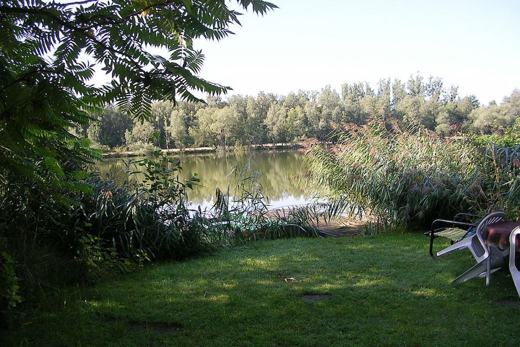 A grassy area with a pond, surrounded by dense foliage and trees.