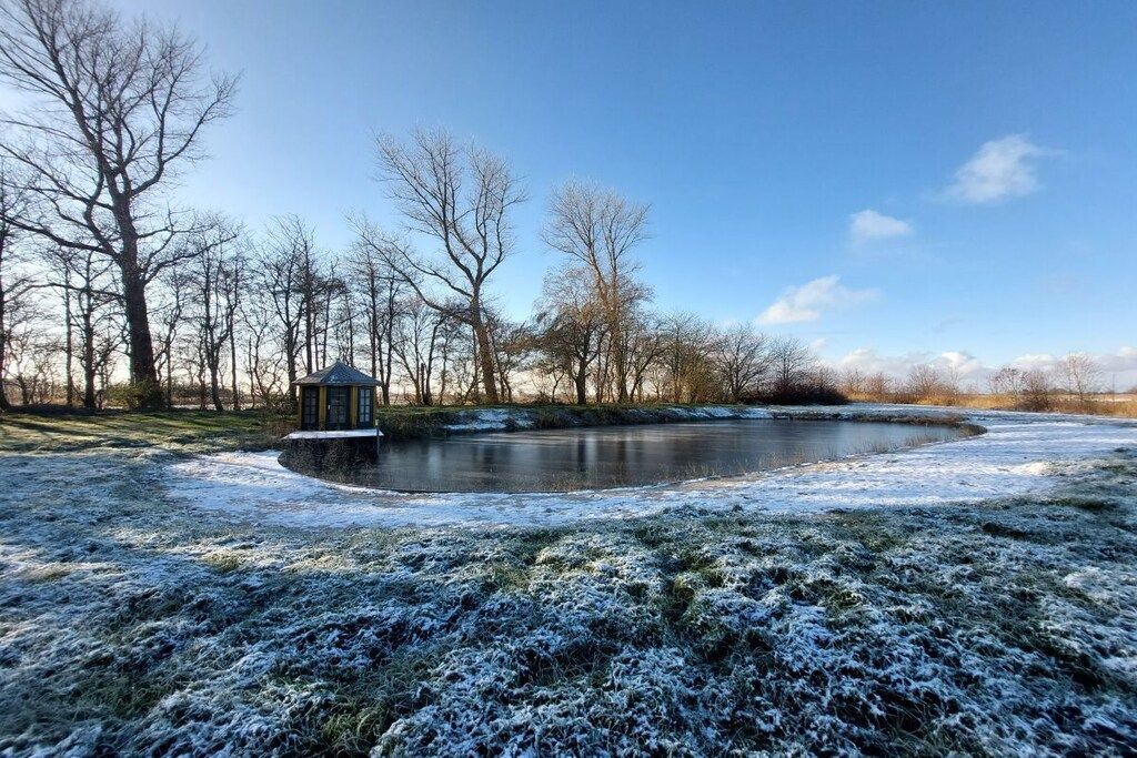 A pond with a gazebo and leafless trees in a park.