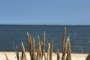 En strand med sand och högt gräs i förgrunden, ett lugnt hav och en avlägsen landmassa med en fyr.
