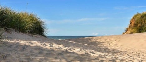 海灘