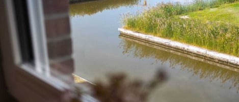 A view of a calm water body with a grassy bank, viewed through a window with a brick wall.