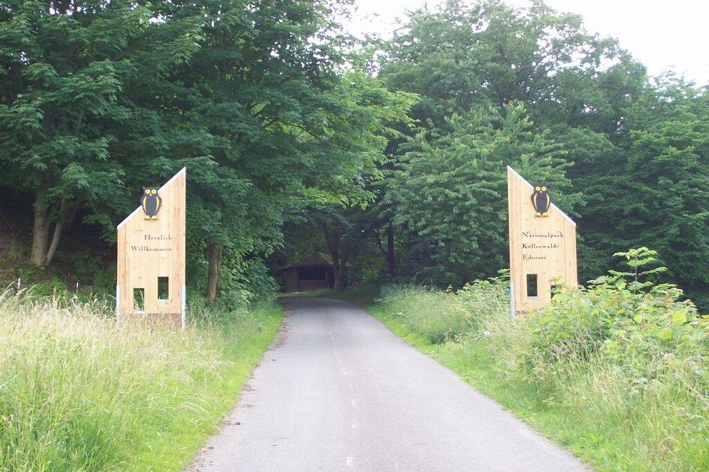 A pathway leading through a wooded area with two wooden signs on either side.