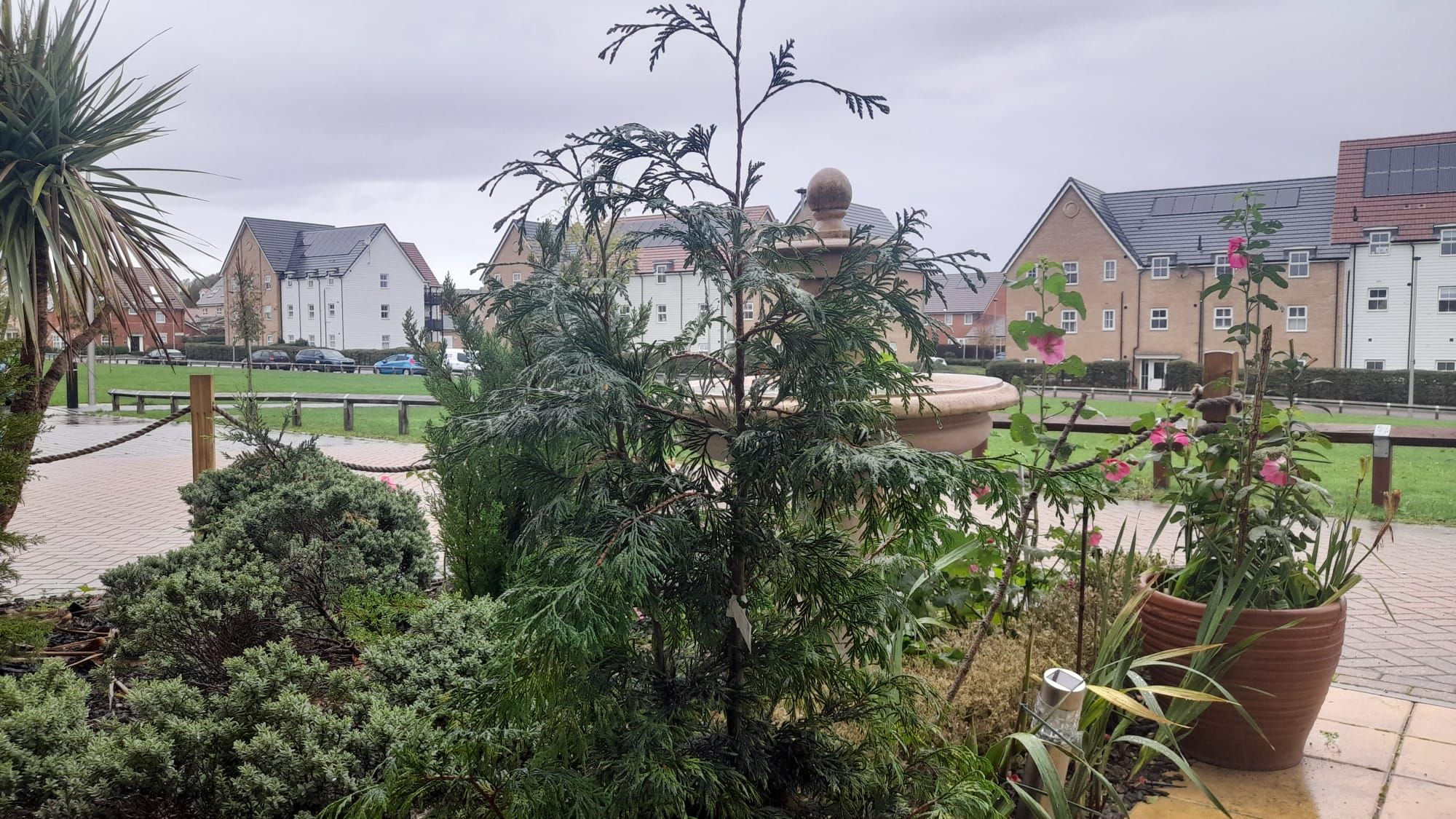 A residential area with houses, a garden with various plants, and a paved walkway.