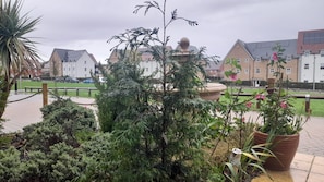 A residential area with houses, a garden with various plants, and a paved walkway.