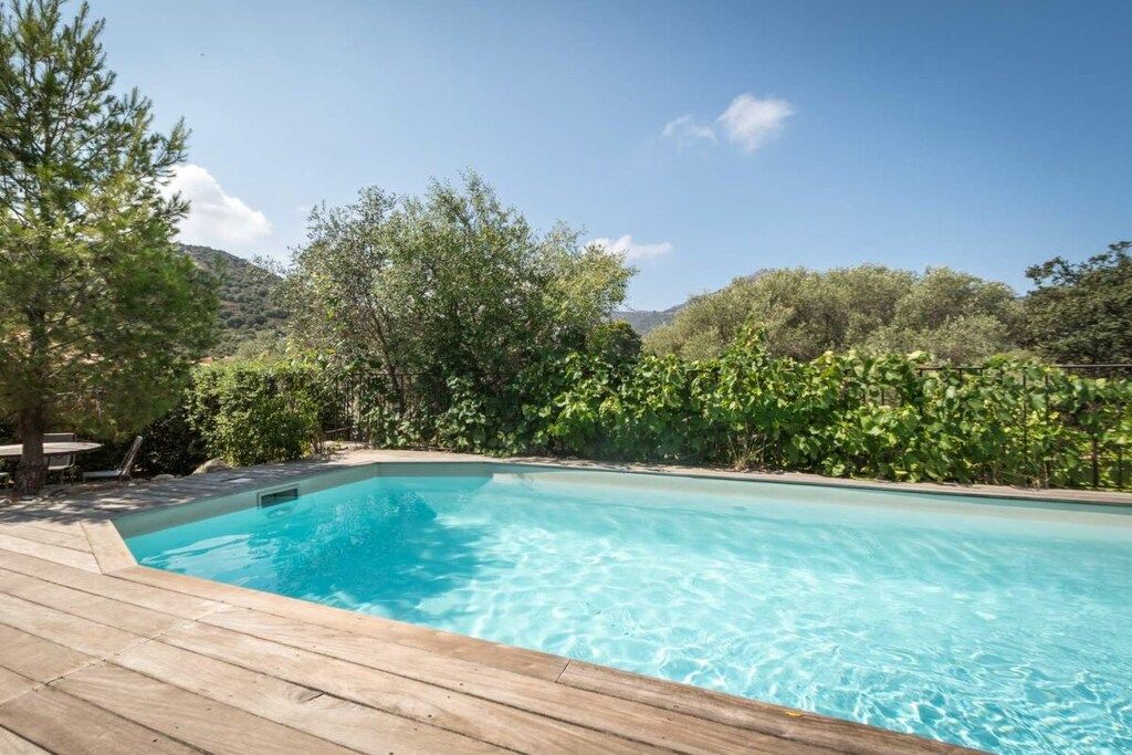 Una piscina rettangolare con acqua cristallina, circondata da un pontile in legno e vegetazione lussureggiante.