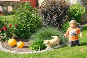 Ein Garten mit einer Katze, einem Kind und zwei großen, gelben, kugelförmigen Objekten.