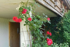 Untagged - Holiday apartment with 1 bedroom (Drachselsried)