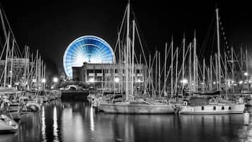 Un port de plaisance de nuit, avec de nombreux bateaux amarrés, une grande structure illuminée en arrière-plan et une eau calme qui reflète les lumières.