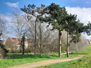 A pathway through a park with trees and a building in the background. - Guest Nest for 2 in Stanford-le-hope (Stanford-le-Hope)
